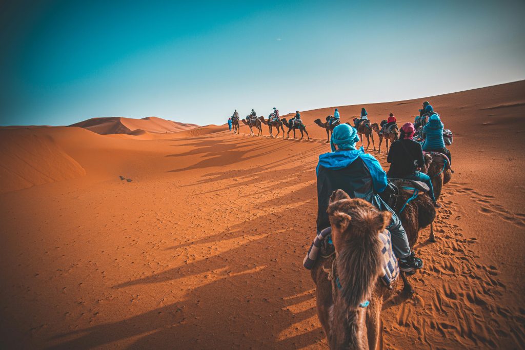 Sahara Desert Tour Food Stories Morocco Camels in desert merzouga